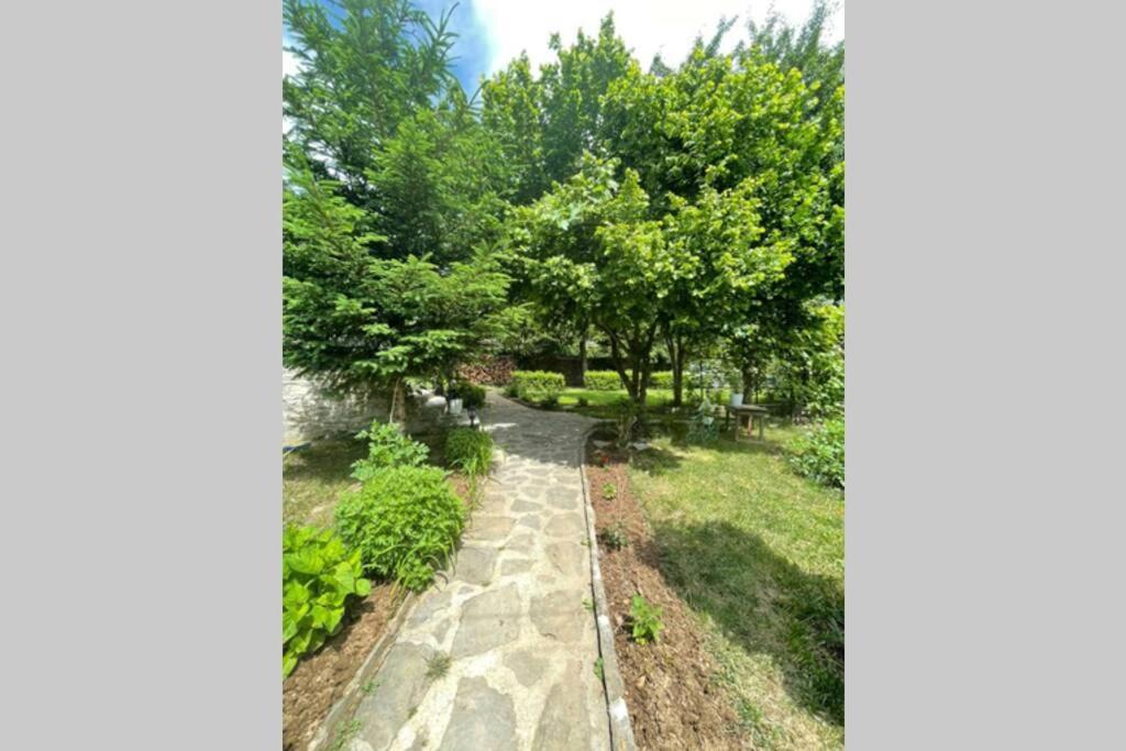 Bujtina Cakuli, Rehove - Erseke Villa Dış mekan fotoğraf
