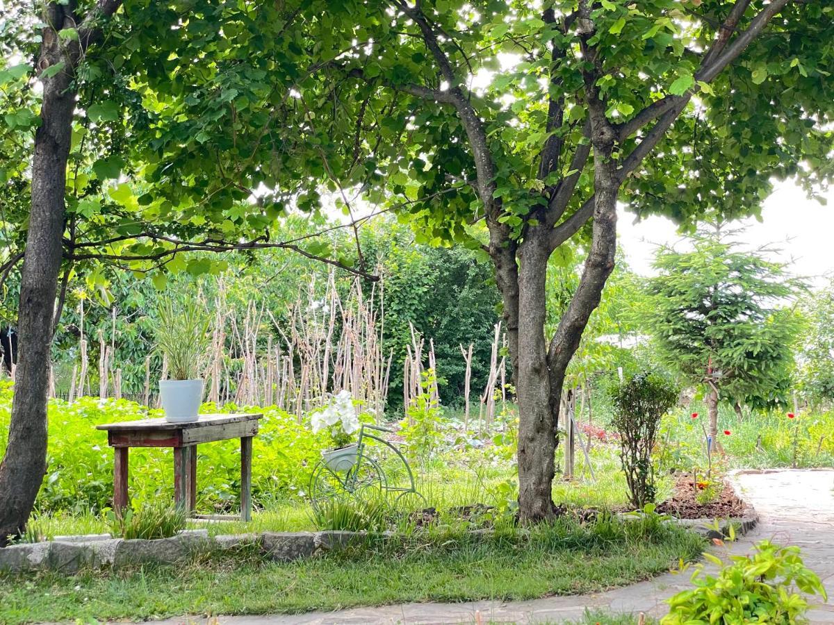 Bujtina Cakuli, Rehove - Erseke Villa Dış mekan fotoğraf